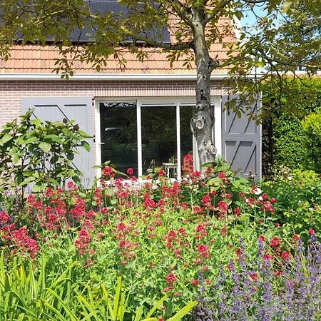 Ferienwohnung Het Sonnehuys Nieuwland  Exterior foto